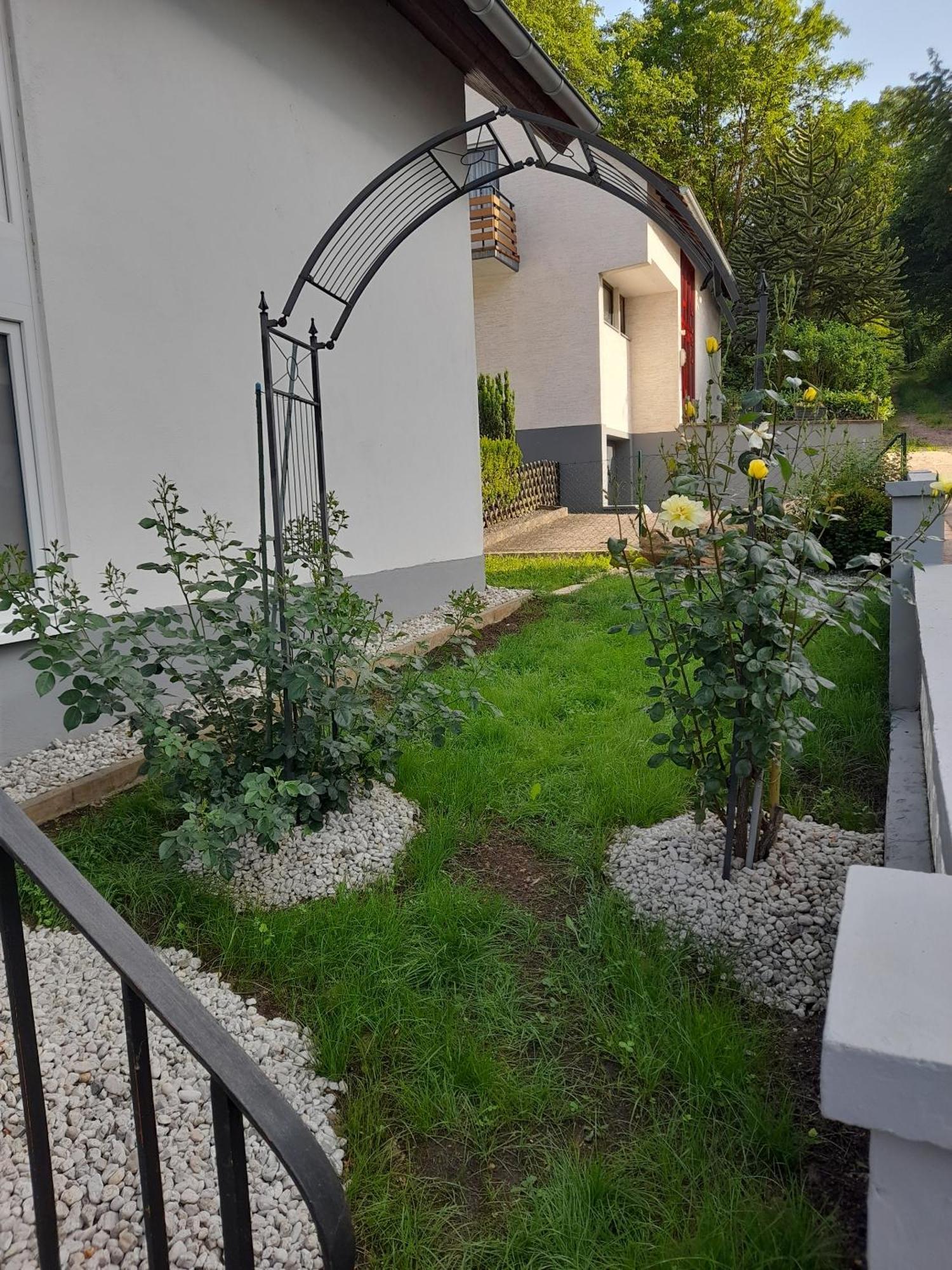 Gaestezimmer Bernkastel - Gaestehaus Barbara المظهر الخارجي الصورة