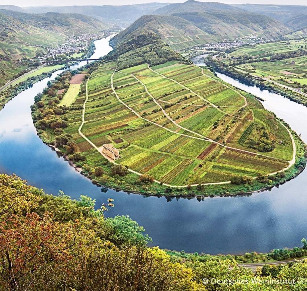 Gaestezimmer Bernkastel - Gaestehaus Barbara الغرفة الصورة